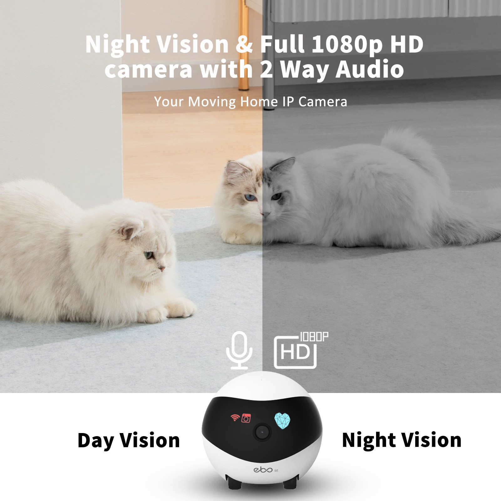 EBO SE Smart Home Robot Compan - đánh giá và giá Home Security Robots