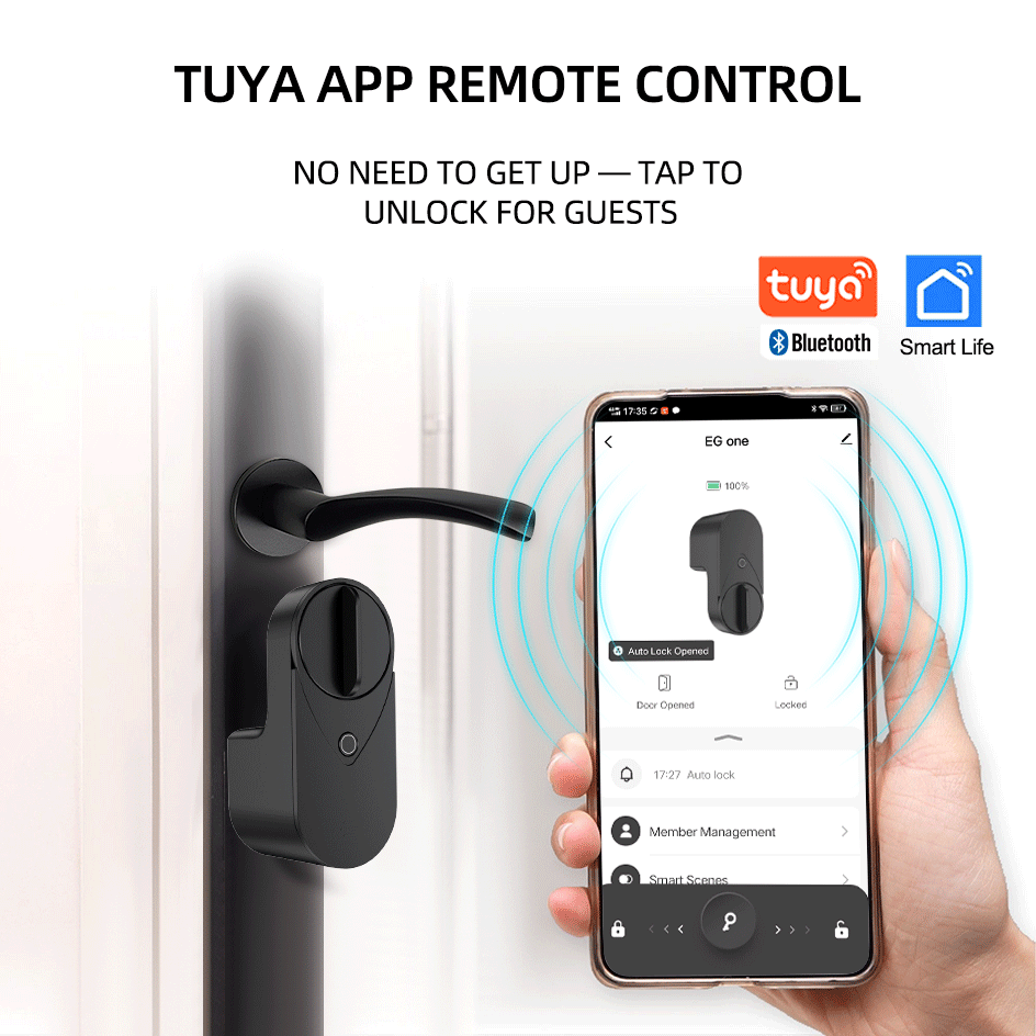 RAYKUBE EG One Tuya BLE Smart  - đánh giá và giá Home Security For Apartments